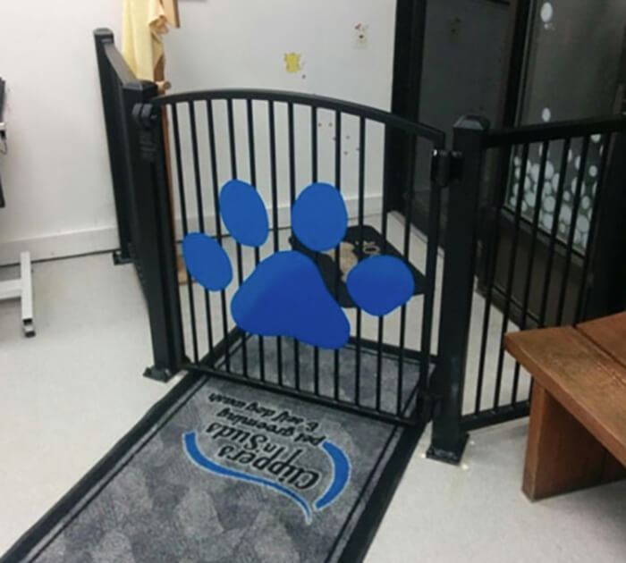 Powder coating calgary